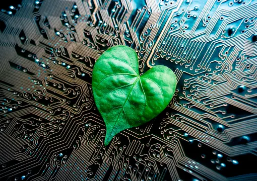 爱赢体育app案例